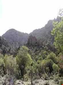 پارک ملی خبر