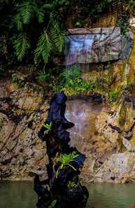 باغ گیاه شناسی پنانگ