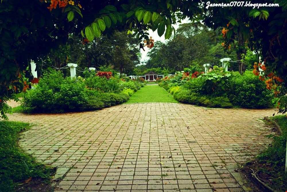 باغ گیاه شناسی پنانگ