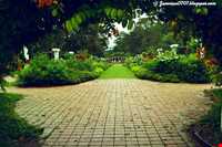 باغ گیاه شناسی پنانگ