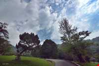 باغ گیاه شناسی پنانگ