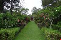 باغ گیاه شناسی پنانگ