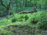 قلعه رودخان