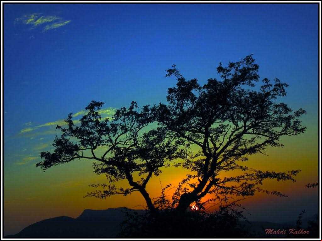 پارک ملی خارتوران ( منطقه حفاظت شده توران )