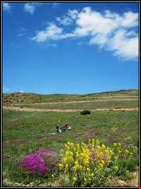 پارک ملی خارتوران ( منطقه حفاظت شده توران )