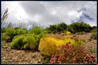 پارک ملی خارتوران ( منطقه حفاظت شده توران )