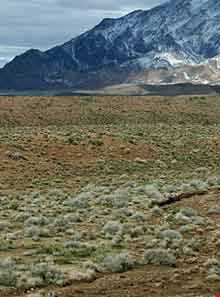 پارک ملی خارتوران ( منطقه حفاظت شده توران )