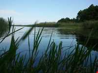 پارک ملی بوجاق