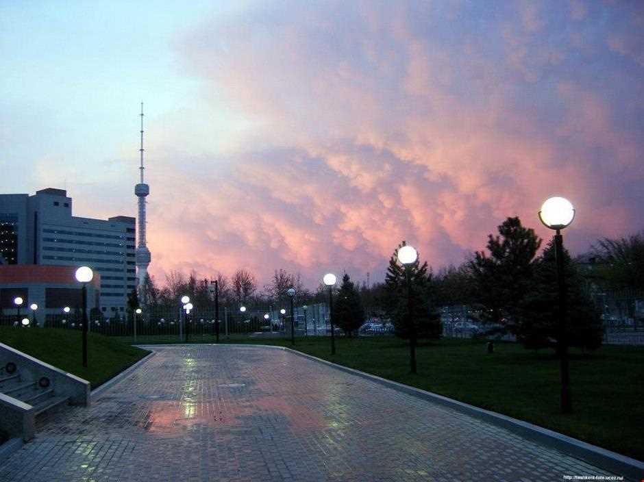 Tashkent Tower