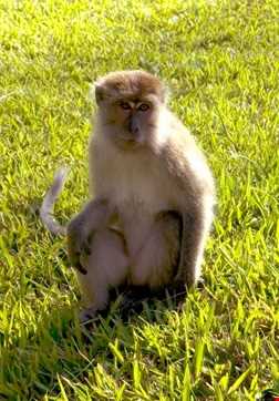 پارک ملی باکو