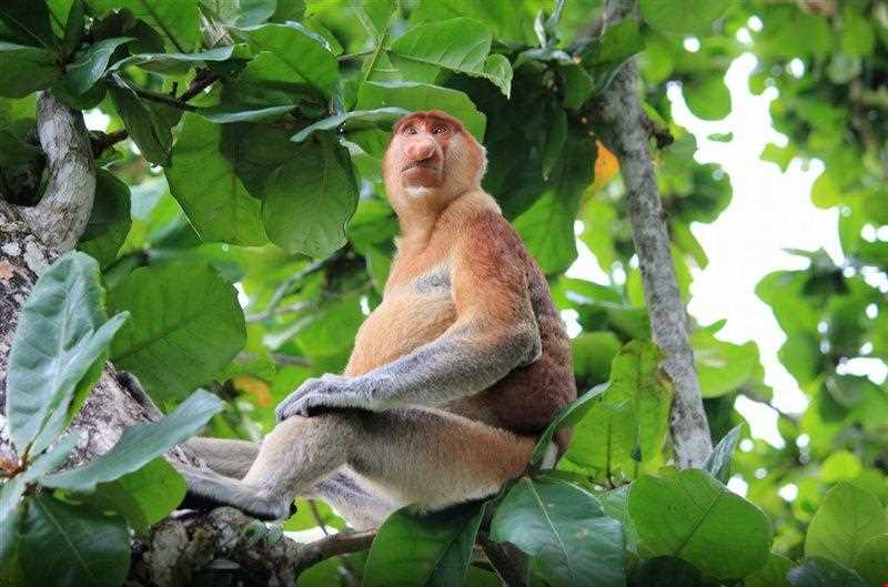 پارک ملی باکو