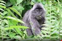 پارک ملی باکو