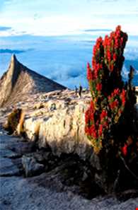 پارک ملی کینابالو