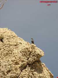 پارک ملی بمو