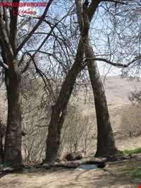 پارک ملی بمو