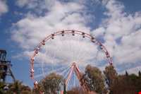 گلد ریف سیتی