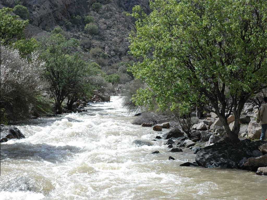 پارک ملی بختگان