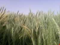 پارک ملی بختگان