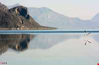 پارک ملی بختگان