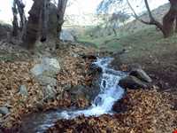 پارک ملی بختگان