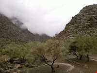 پارک ملی بختگان