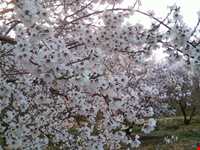 پارک ملی بختگان