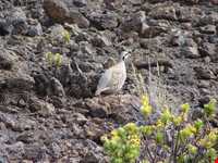 پارک ملی بختگان