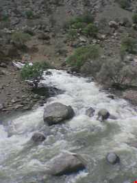 پارک ملی بختگان