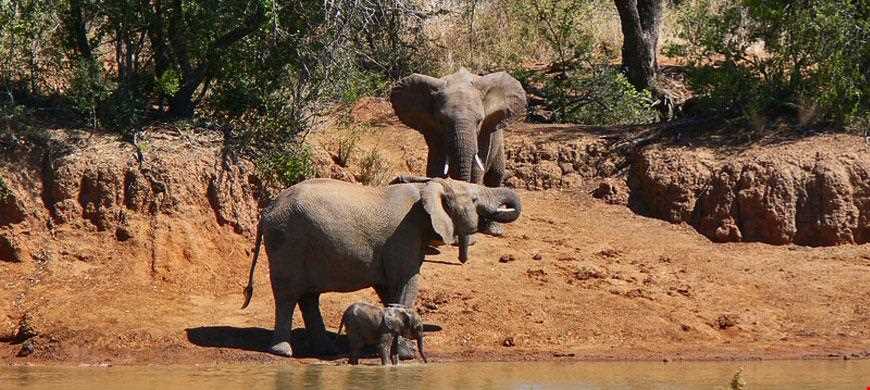 pilanesberg national park