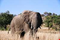 پارک ملی پیلانسبرگاین