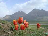 پارک ملی لار