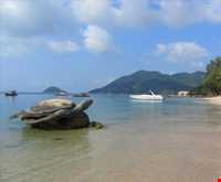 جزیره کوه تان