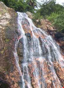 باغات جادویی