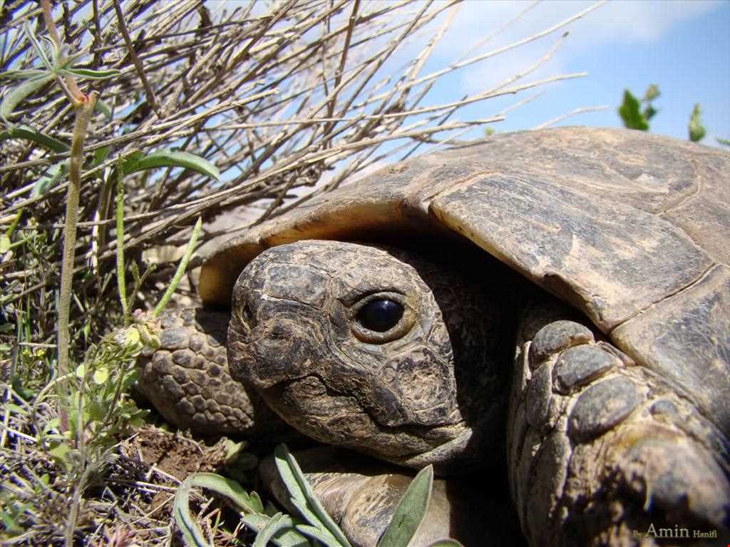 Khojir National Park