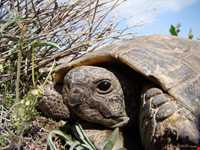 پارک ملی خجیر