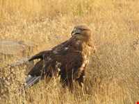 Khojir National Park
