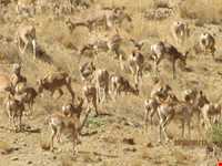 Khojir National Park