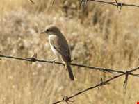 Khojir National Park