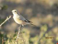 Khojir National Park