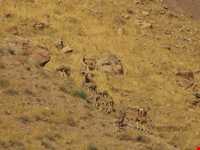 Khojir National Park