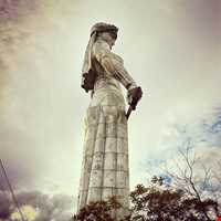 کارتلیس ددا