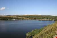 دریاچه لیسی