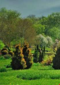 پارک دندراری