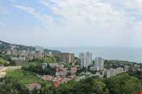 پارک دندراری