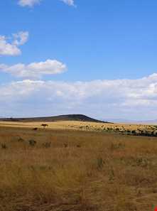 پارک ملی ماسایی مارا