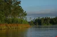 رودخانه کیناباتانگان