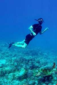 اسنورکلینگ