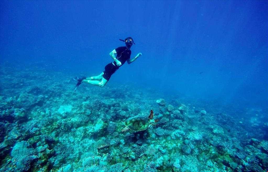 اسنورکلینگ