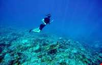 اسنورکلینگ