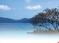 کوتا کینابالو